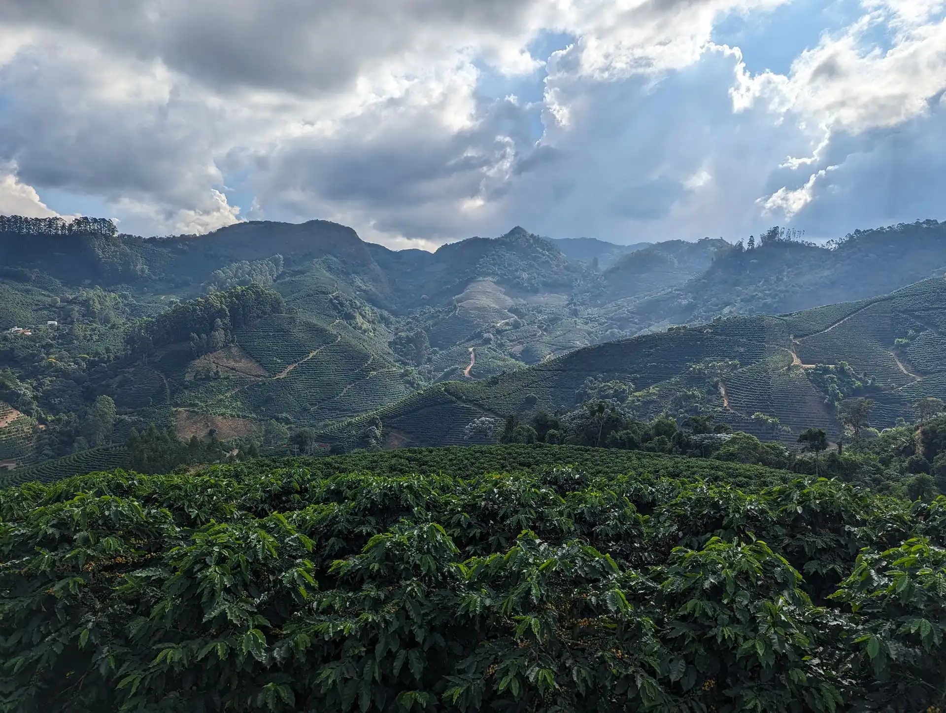 Cafés Lecoeur - Torréfaction artisanale en Île-de-France